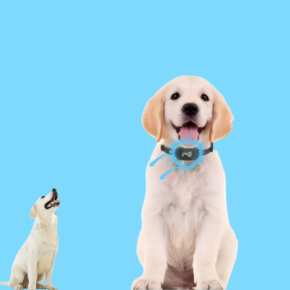 Hundetraining Halsband – 8 Stufen Empfindlichkeit Vibration Schockmodus
