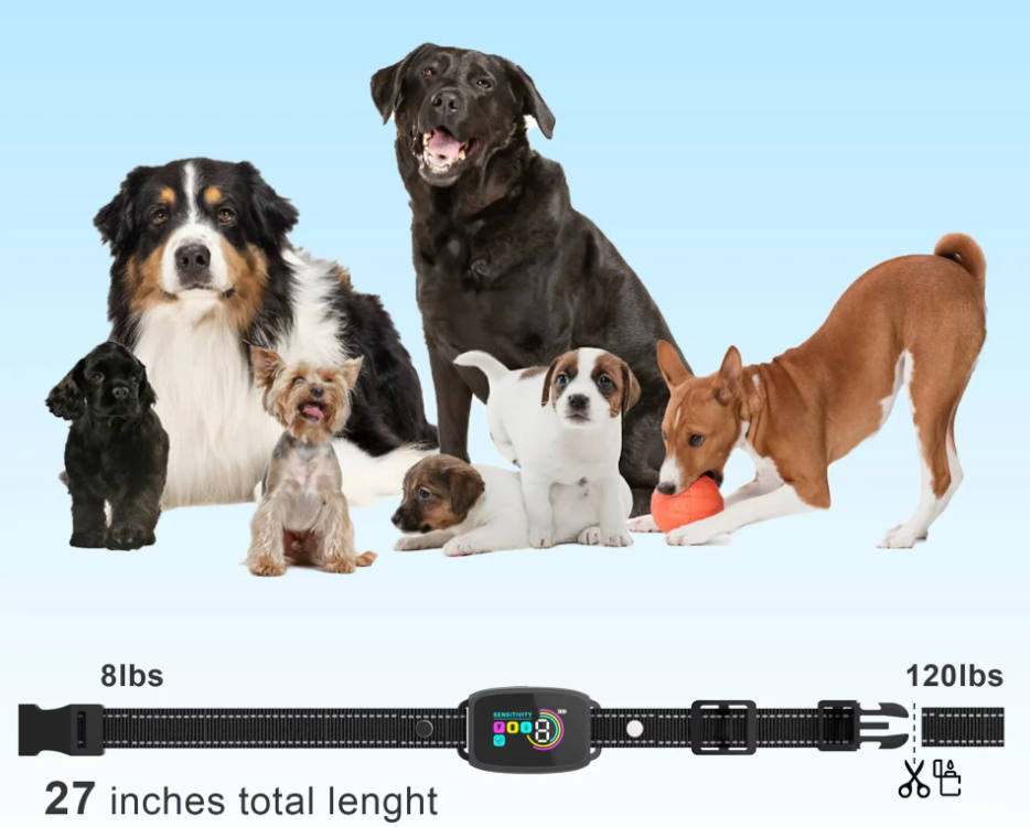 Hundetraining Halsband – 8 Stufen Empfindlichkeit Vibration Schockmodus