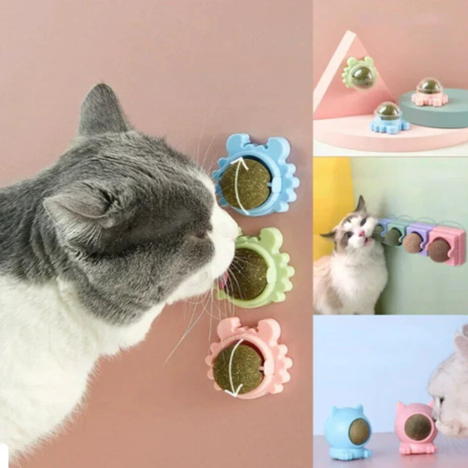 Katzenminze Spielball – Interaktives Catnip Spielzeug für Katzen zur Beschäftigung