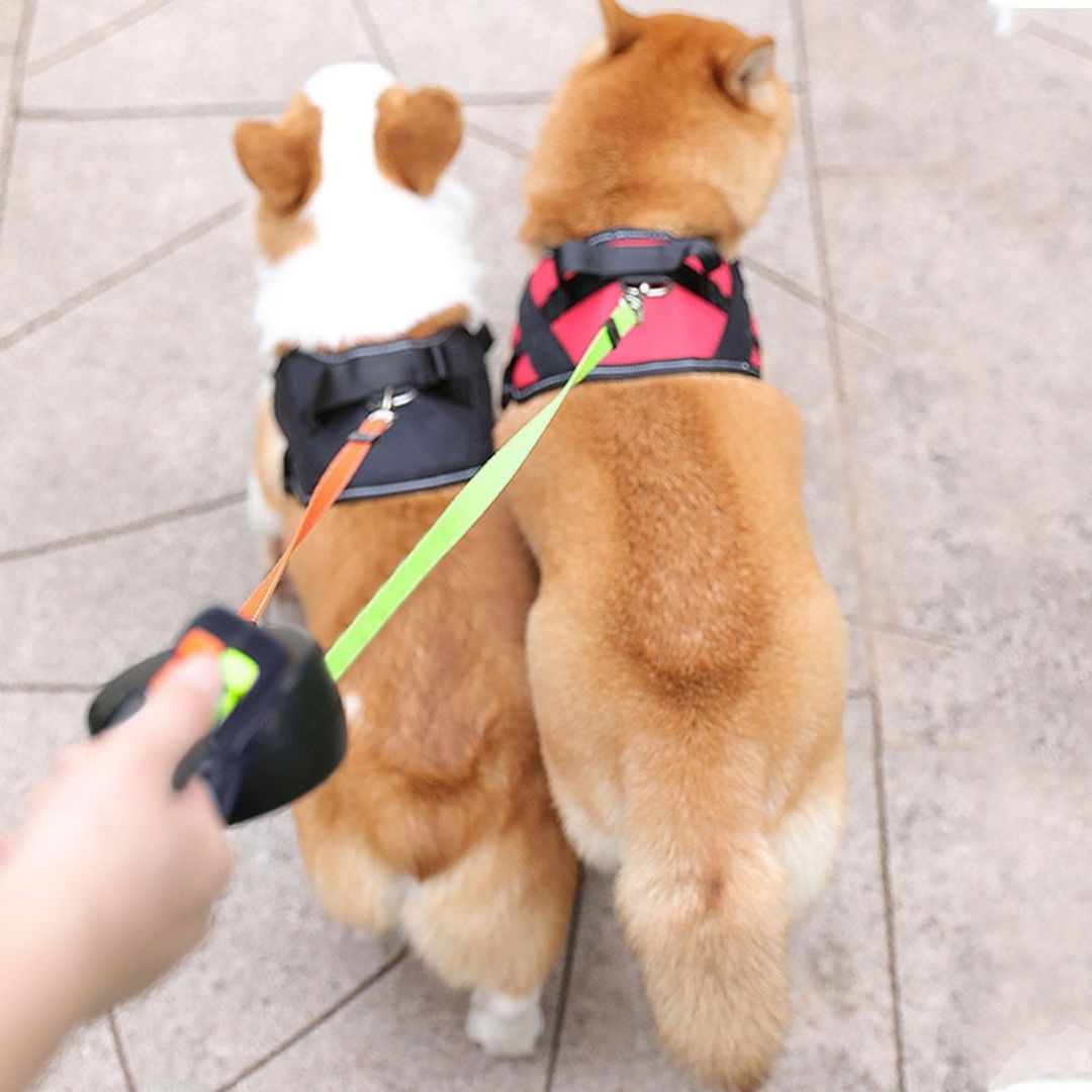 Verstellbare Anti-Verwicklungs-Doppelleine für 2 Hunde – Robuste Doppelleine mit Drehgelenk für kleine & große Hunde
