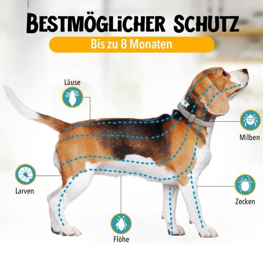 NaturaGuard - Zecken- und Flohschutz Halsband
