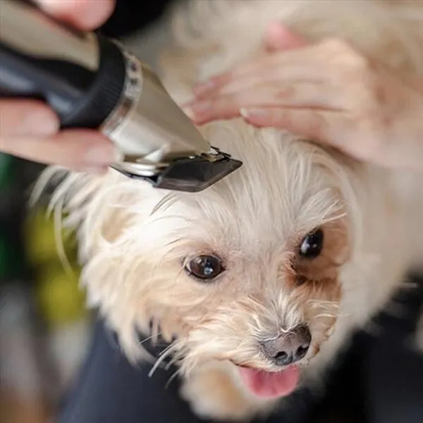 Lautloser Hundefelltrimmer – Leises, Professionelles Trimmer-Set für Hunde & Haustiere