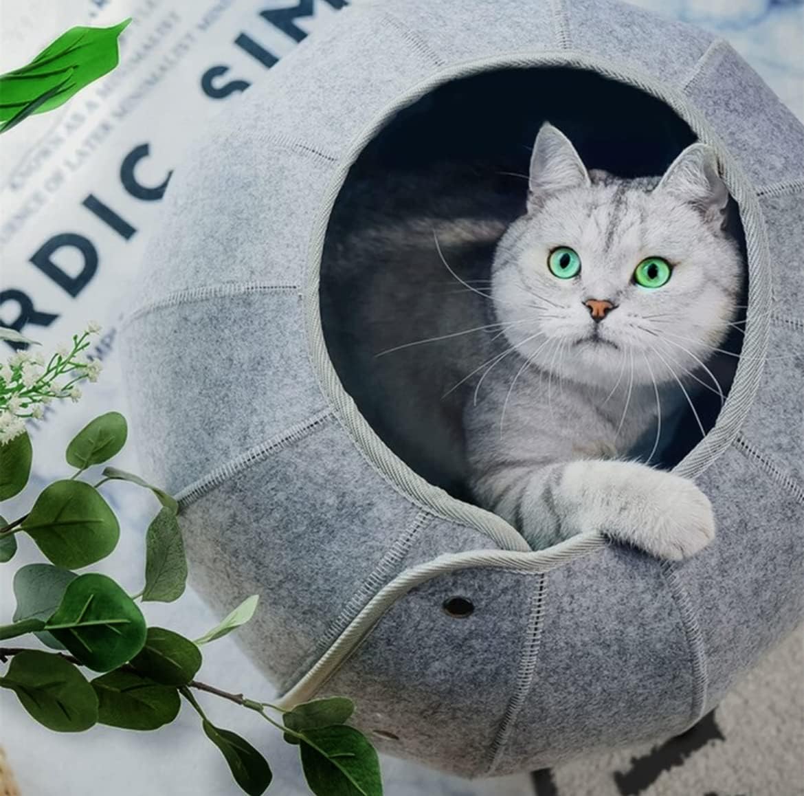 Multifunktionaler Katzentunnel mit Versteck & Spielbereich – Faltbar, Waschbar, für Katzen & Kätzchen