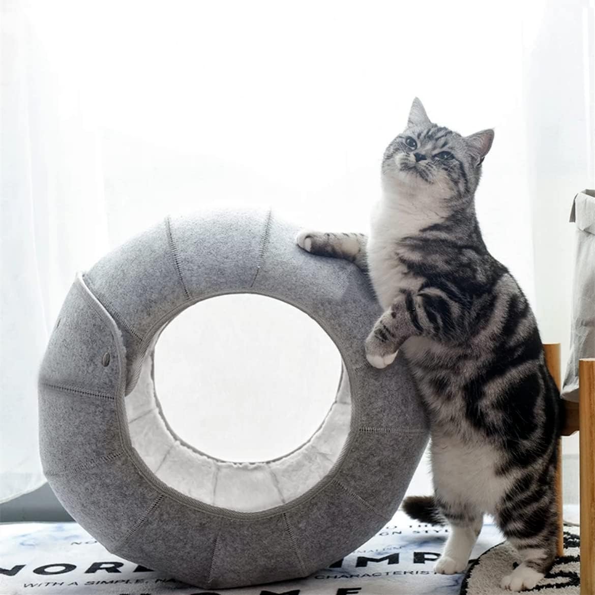 Multifunktionaler Katzentunnel mit Versteck & Spielbereich – Faltbar, Waschbar, für Katzen & Kätzchen